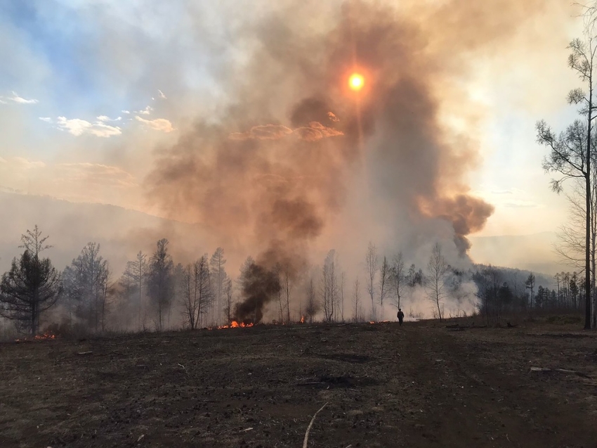 Еще два лесных пожара ликвидировали в Забайкалье